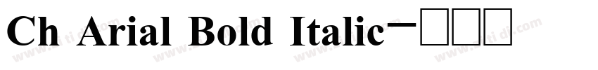 Ch Arial Bold Italic字体转换